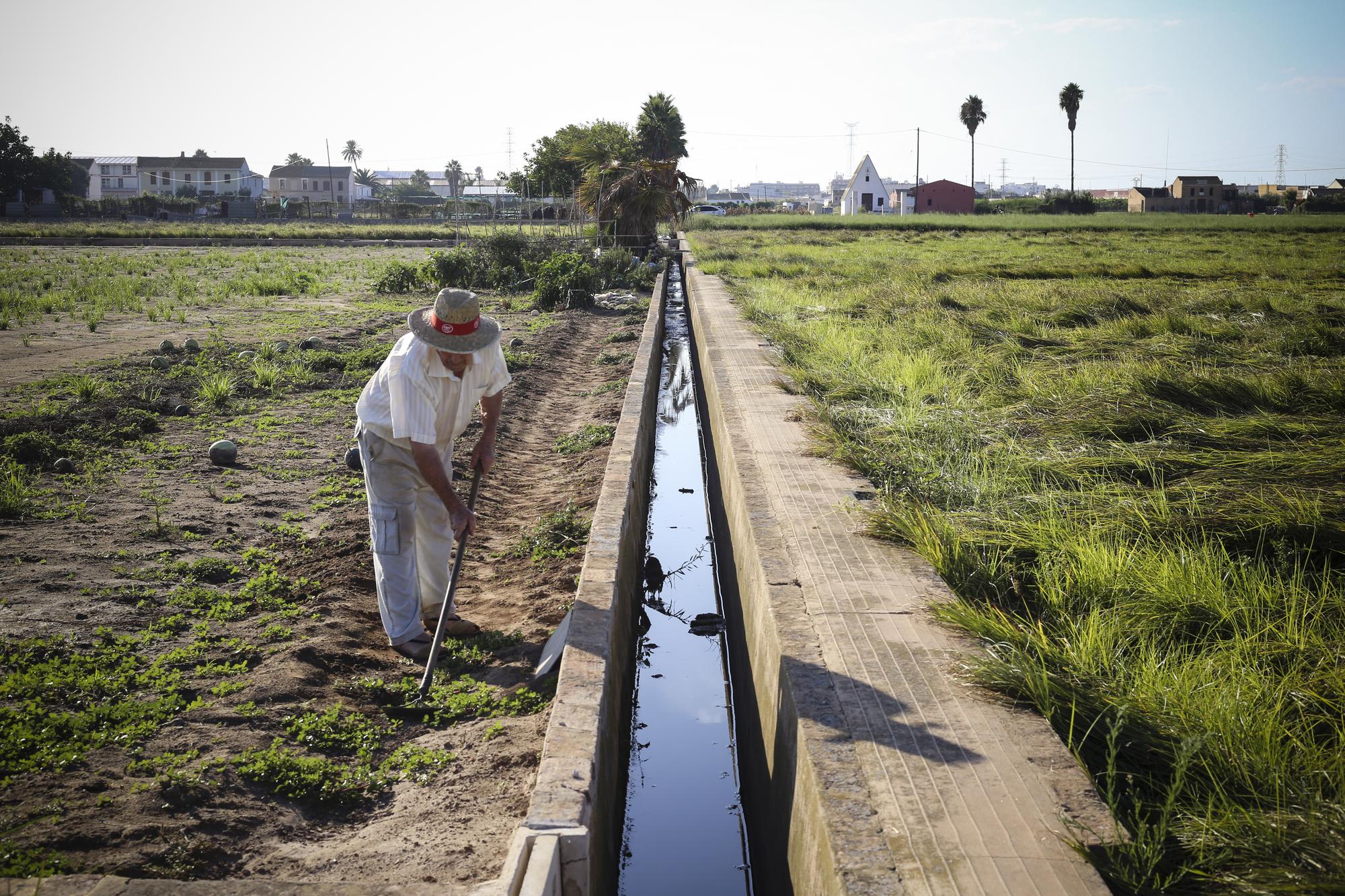 agricultor horta valencia